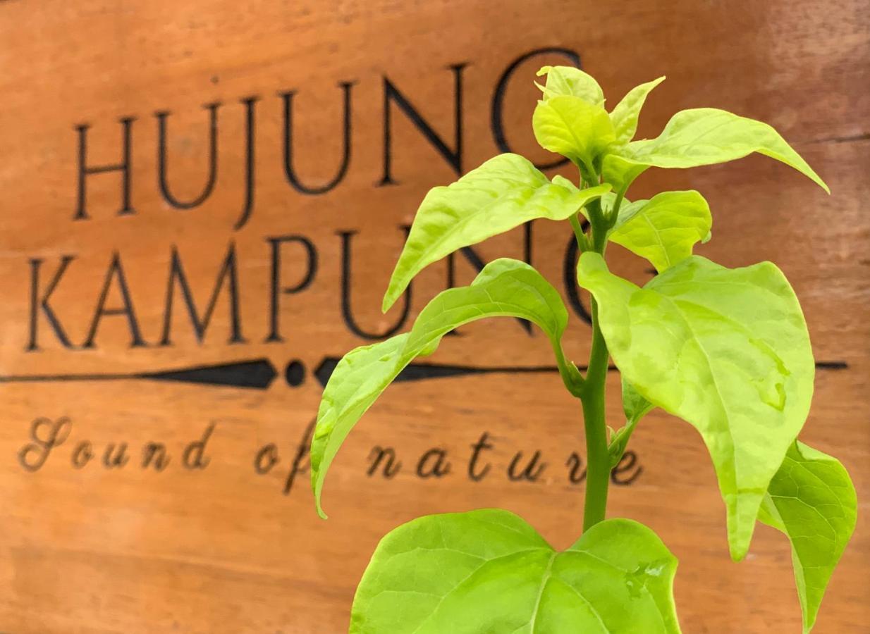 Hujung Kampung Resort Pantai Cenang  Exterior foto
